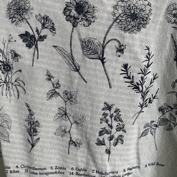 Forever21 Light Sage Green Long-Sleeved Croppy Toppy - Picture 3 of 4